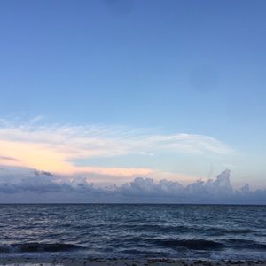 Meet your Posher, Ava